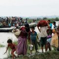 rohingya issue