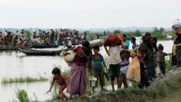 rohingya issue