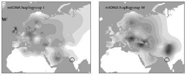 haplogroup