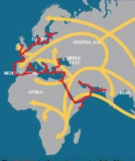 Migration from Indus Valley