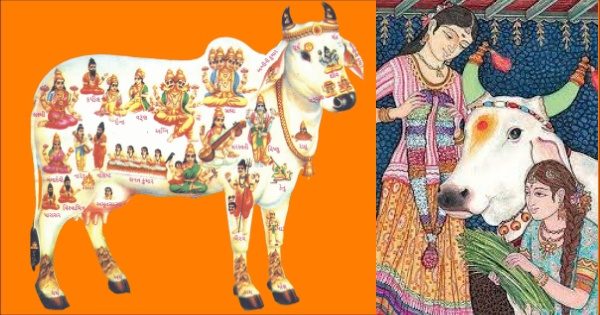 What Vedas and other Ancient Hindu Scriptures Tell Us about Cow